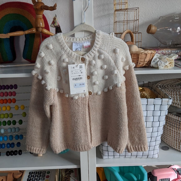 Zara Other - Nwt Zara pom cardi